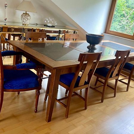 Wunderschoenes Grosses 3 Zimmer Apartament Zentrum Goldstadt Familienfreundlich Mit Garage Pforzheim Zewnętrze zdjęcie
